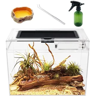 Reptile Growth Mini Terrarium Komplettset, 12" x 7"x 9" Faunarium für,Schnecken,Insekten,Wasserschildkröten,Vogelspinnen,Springspinne,Leopard Gecko,Bärtiger Drache ,Frosch,Aquarium,Einsiedlerkrebs