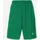 Sport-Shorts Grün 3XL