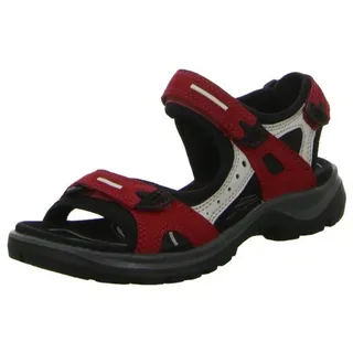 chili red damast rose 37