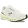 Herren Seedling / Seedling 42