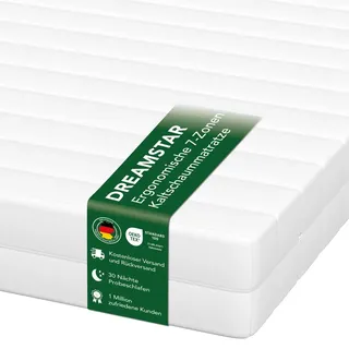 Dreamstar Simple Flex 7-Zonen 80 x 200 cm H2/H3