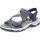 blau 37