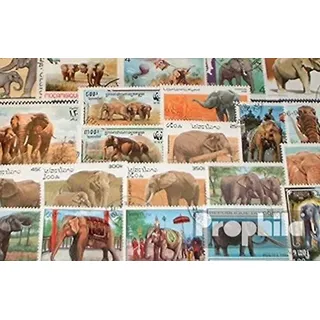 Motive 50 Verschiedene Elefanten Marken (Briefmarken für Sammler) Sonstige Säugetiere (Affen/Dinos/Elephanten ...)