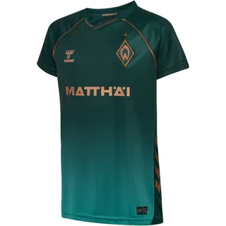 hummel SV Werder Bremen Ausweichtrikot 2025/26 Kinder 6108 - scarab