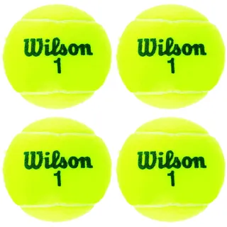 Wilson Tennisball
