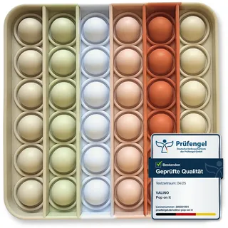 Valino Pop-It Spielzeug Pastellfarben | Wasserfeste Bubble Fidget Toys für Kinder | Sensorik Spielzeug aus hochwertigem Silikon (Quadrat - BPA Frei)
