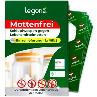 Schlupfwespen gegen Lebensmittelmotten