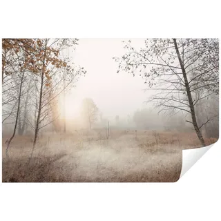 Wallarena Fototapete Wald Nebel Natur Vlies Tapete Wohnzimmer Schlafzimmer Wandtapete, Glatt, Landschaft, Tapete inklusive Kleister Vliestapete Motivtapete 3.12 m x 2.19 m