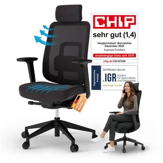 Ergotopia PureBack Kunststoff Schwarz