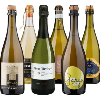 Probierpaket «Schaumweine aus reicher Natur» Die beliebtesten Schaumweine der Delinat-Winzer, Bio Probierpakete