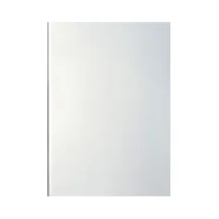 WESERWABEN® Sichtschutz-Glaselement aus ESG-Glas - Vario-Line® Classic Nebelweiß 94,5 x 59,3 x 0,8 cm (Gr. 1)