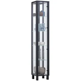 CARRYHOME Vitrine Schwarz, Metall, 4 Fächer, 33x189x33 cm, Typenauswahl, Esszimmer, Vitrinen