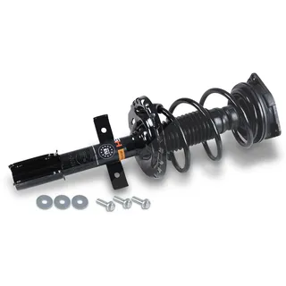 gh Federbein Komplett Federbein