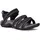 black/grey 36
