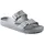 Metallic Silver 42