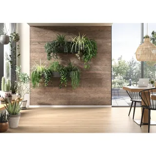 EGGER Design-Wandpaneele DecoWall Annaba Eiche Natur 125 cm x 66 cm