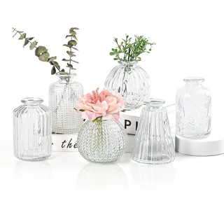 Vasen Klein Glas EylKoi - 6 Teile/Satz Klar Verschiedene Formen, Vasen Hochzeit, Tischdeko Mini Kleine Für Zuhause, Veranstaltungen Tisch, 1# + 2#
