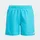 Solid Shorts Blau 116