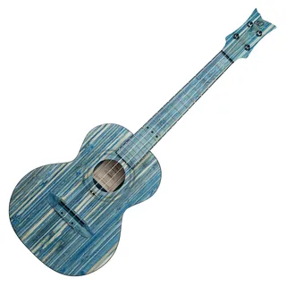 Ortega RUSWB-TE - Ukulele