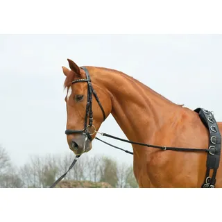 Busse Ausbindezügel Basic-Starr