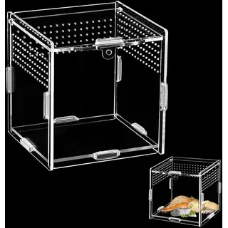 Acryl Terrarium 10cmx10cmx10cm,Mini Terrarium Schnecken