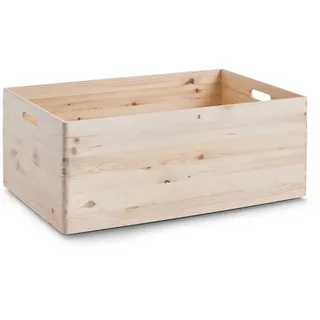 Zeller Aufbewahrungskiste 60 x 40 x 24 cm 1-tlg. beige