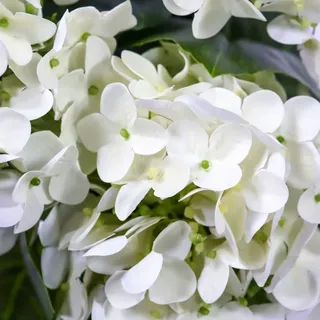 HJH Office Kunstpflanze HYDRANGEA Kunststoff