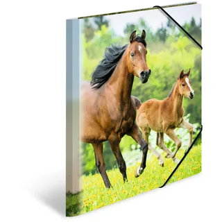 Sammelmappen DIN A4 Pferde, 3 St.