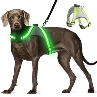 Visinite LED-Hundegeschirr mit Licht, wiederaufladbar, leuchtende Hundeweste, 2 Beleuchtungsmodi, verstellbares beleuchtetes Geschirr für sichere Nachtspaziergänge