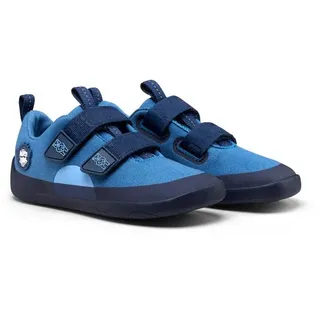 Bär Blau 33