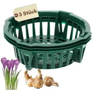 GarPet Pflanzkörbe für Blumenzwiebeln Pflanzkorb Blumenzwiebeln Pflanzkörbe für Tulpenzwiebeln Pflanzschalen Blumenzwiebel Tulpen Herbstpflanzung ø 22 cm 3 St.