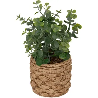 Atmosphera Créateur d'intérieur Atmosphera Createur d ́interieur Künstlicher Grün, 27 cm Dekoration, Kunstblumen