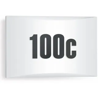 Steinel Außenleuchte LN 1 N