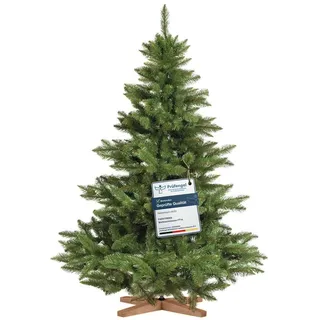 FairyTrees Nordmanntanne Premium grün 150 cm