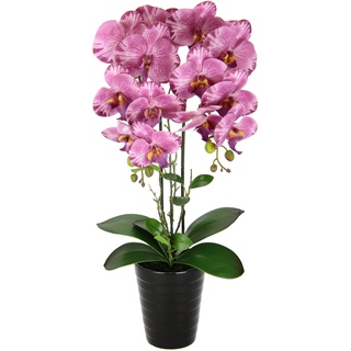 Flair Flower Künstliche Orchidee im Topf Kunstorchidee Blume Kunstblumen Kunst Orchidee Kunstorchidee Phalaenopsis Kunstpflanze wie echt Hochzeit Deko Seidenblume Real Touch Blüte Tischgesteck Seidenblume