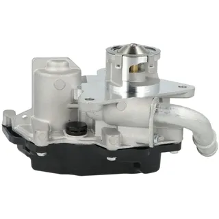 NRF AGR-Ventil EASY FIT 48743