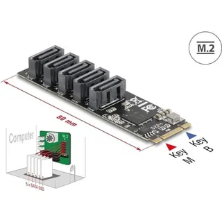 DeLock M.2 2280 Key B+M Kontroller zu 5 x SATA