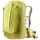 l sprout/linden