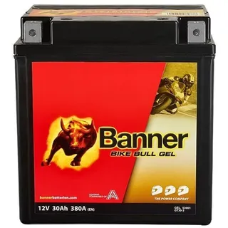 Banner GT30-3 30 Ah 385 A