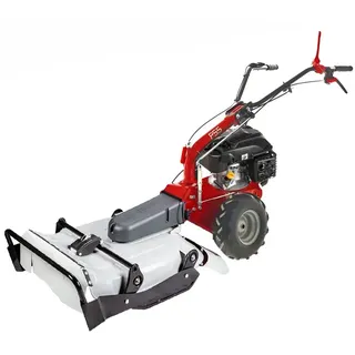 Eurosystems P55  Benzin-Schlegelmulcher - Wiesenmulcher PRO  Rato RV200
