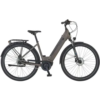 Prophete Geniesser 3.3 28 Zoll RH 48 cm Matt Bronze