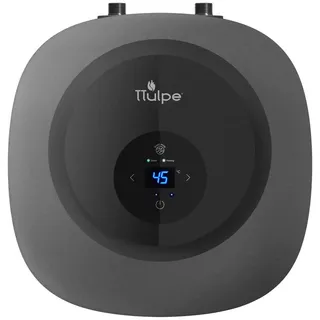 TTulpe Buono 15-u