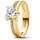 163100C01 Damen-Ring Doppelschiene mit Herz Goldfarben 60/19 1