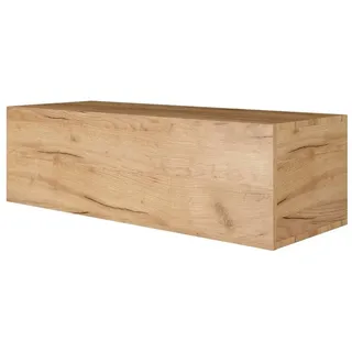 Planetmöbel West TV-Schrank, Fernsehtisch 100 cm lang, TV-Board hängend oder stehend, Fernsehschrank für Wohnzimmer, TV Möbel 37,8 x 100 x 30 cm, Gold Eiche