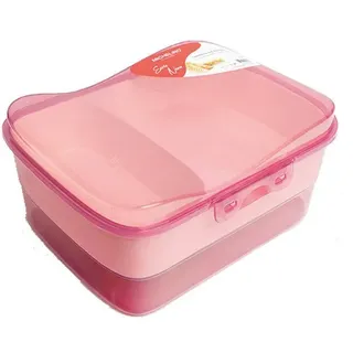 Michelino Lunchbox mit Einteiler Brotdose mit Fächern Spülmaschinengeeignet Rosa