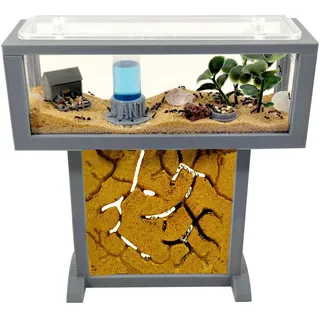 Ameisenfarm-Set T – Mini-Natursand 15x5x16 – Gratis Ameisen inklusive ┃ 20–30 Ameisen