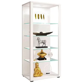 VCM Holz Glas Stand Vitrine Sammelvitrine Glasol lll