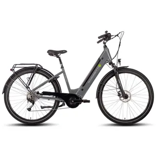 Saxonette E-Bike Deluxe Wave 2023 28 Zoll RH 50 cm Damen grau
