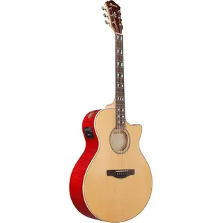 IBANEZ AE170-NTR & Westerngitarre