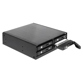 DeLock 47220 Hard Drive Backplane Schwarz